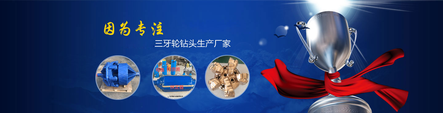 實(shí)惠快速門展示